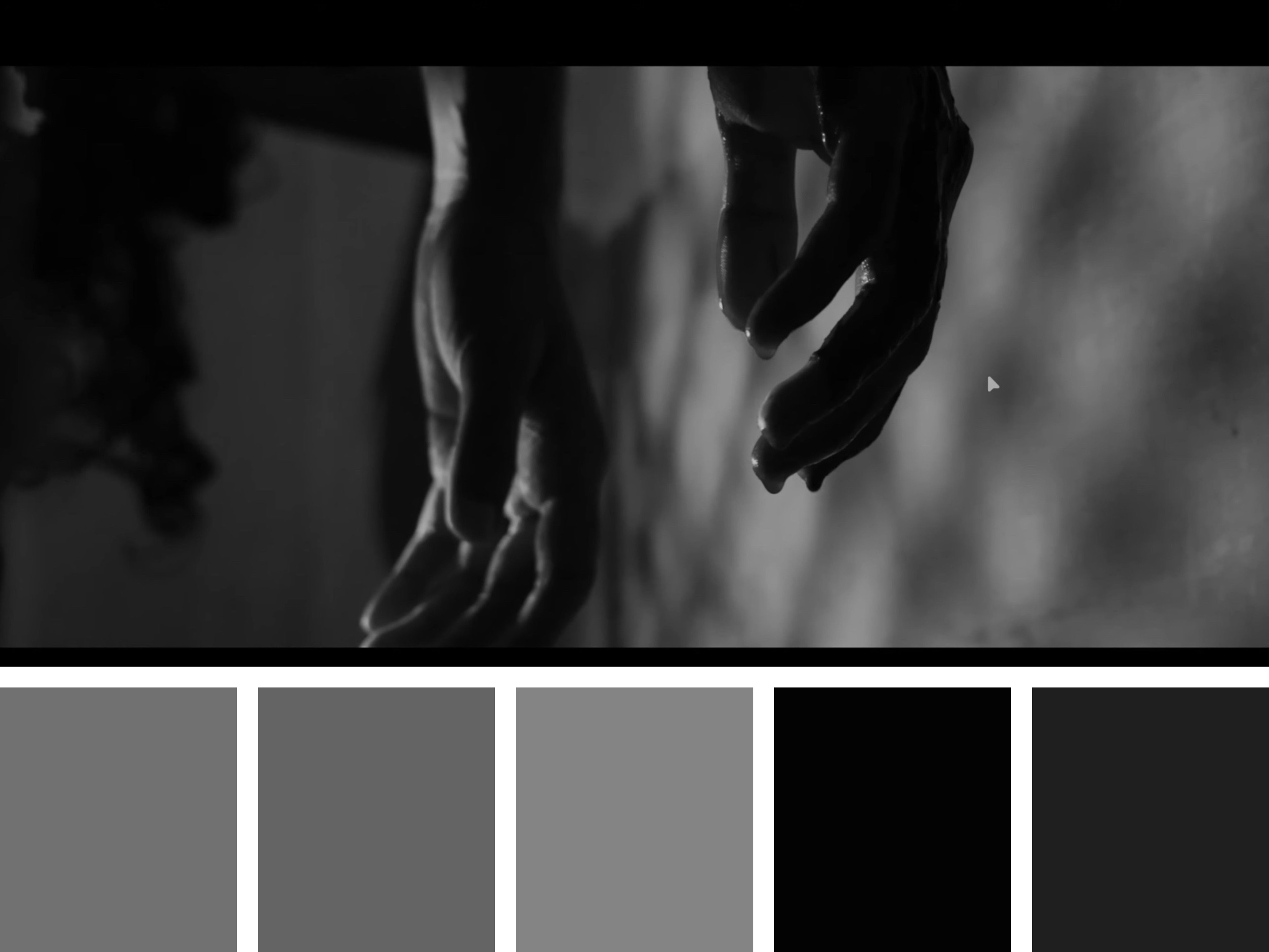 Color Palette