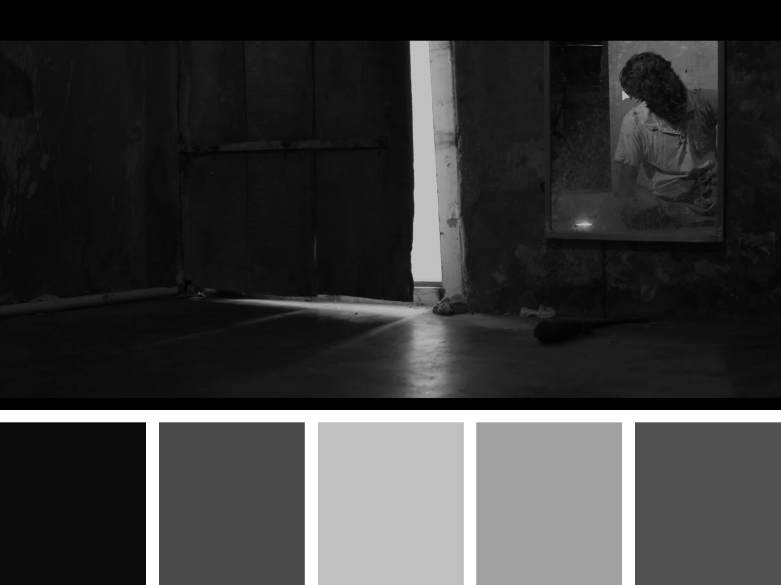 Color Palette