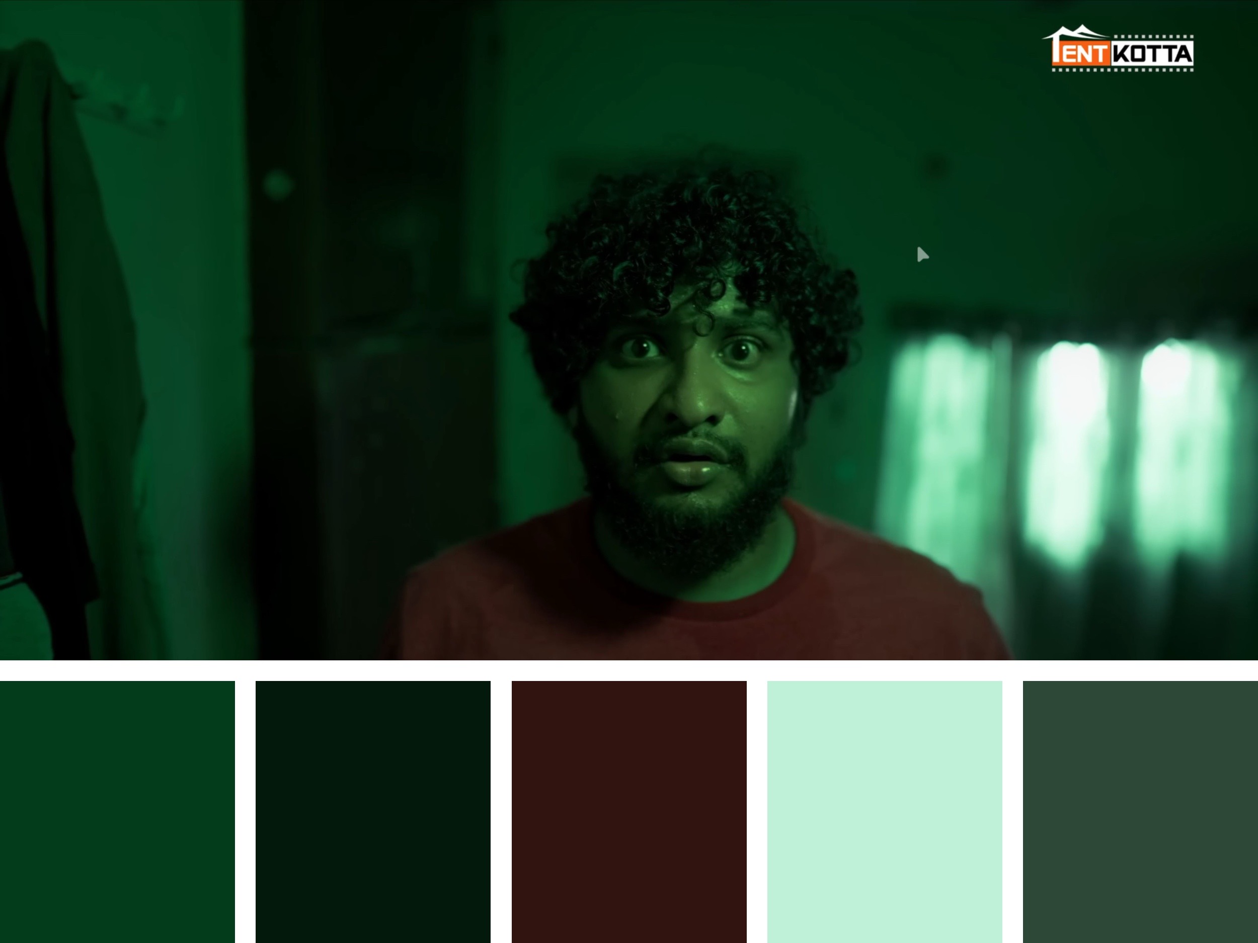 Color Palette