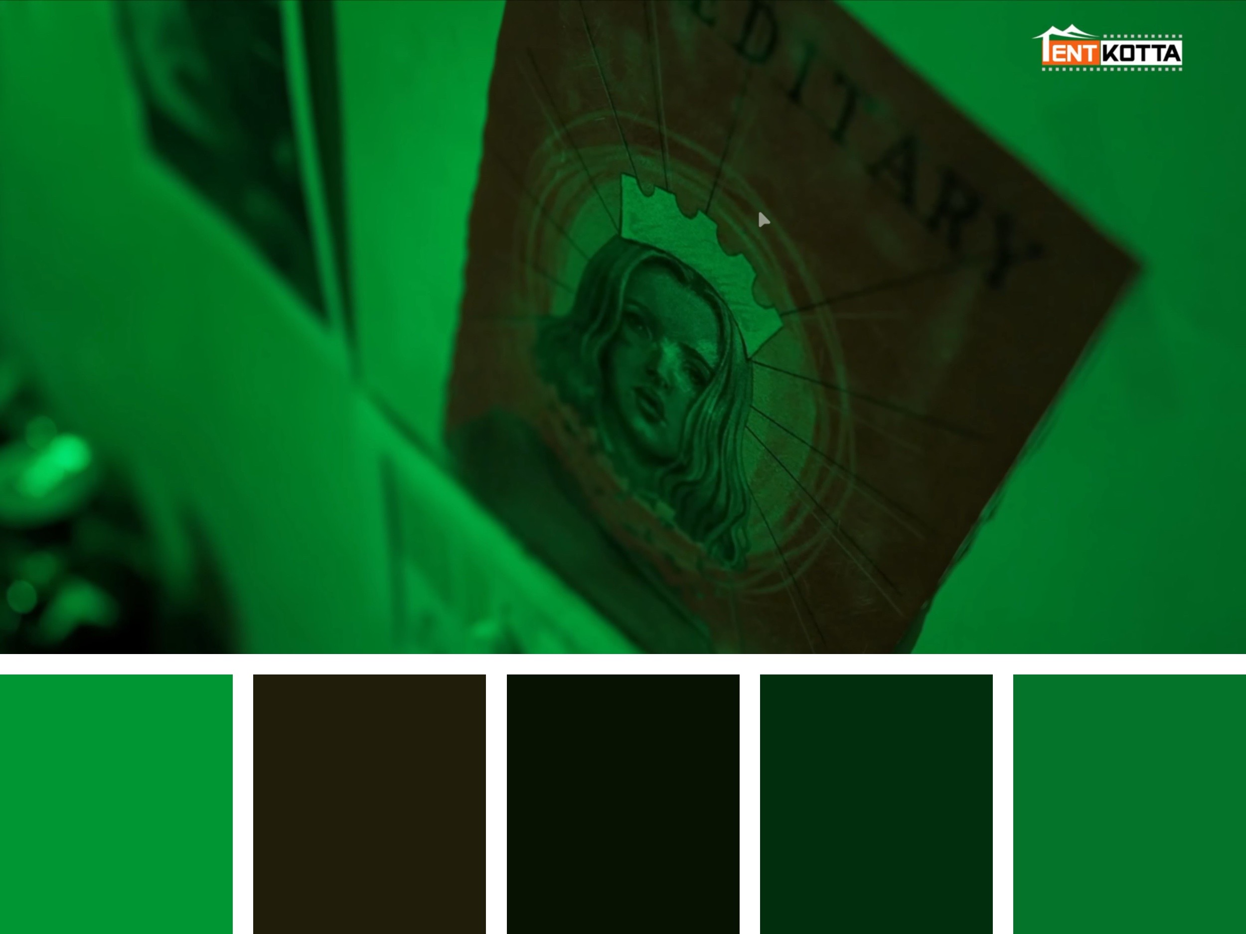 Color Palette
