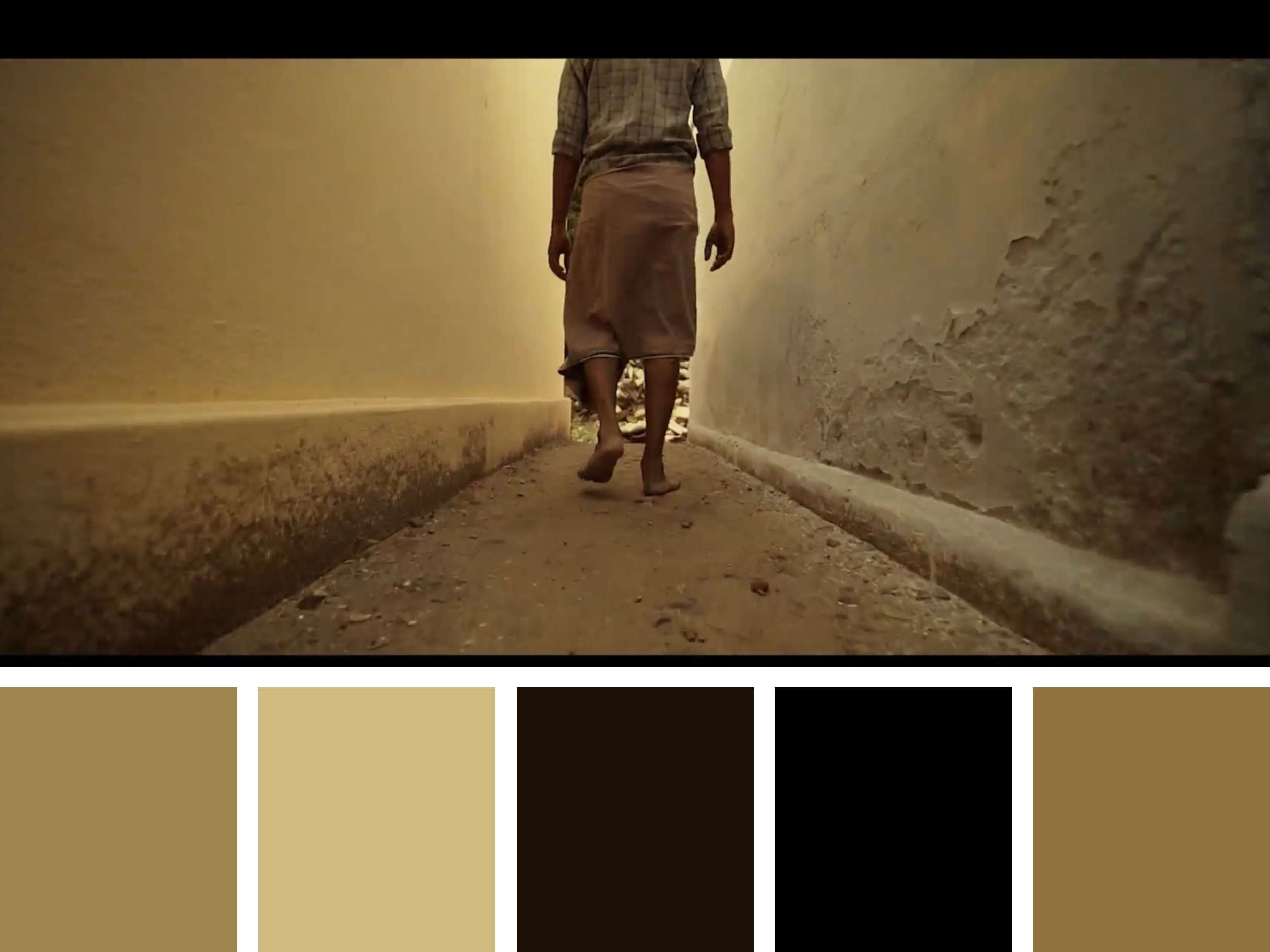 Color Palette