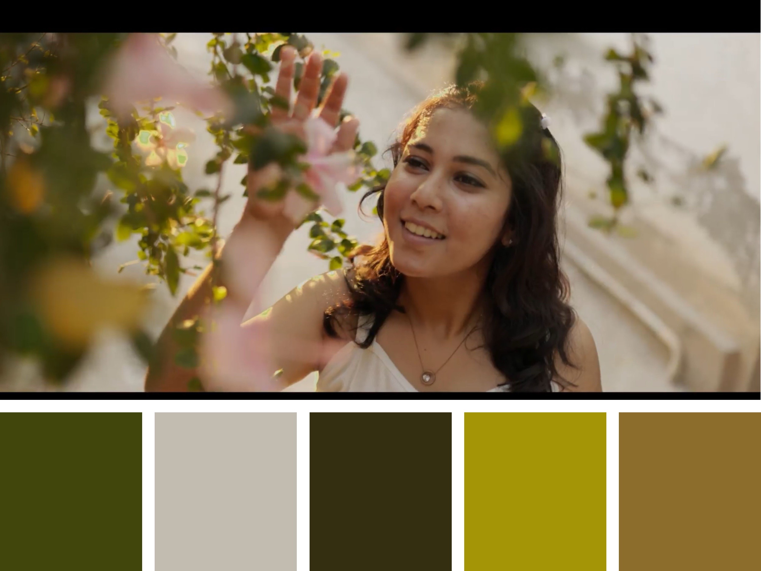 Color Palette