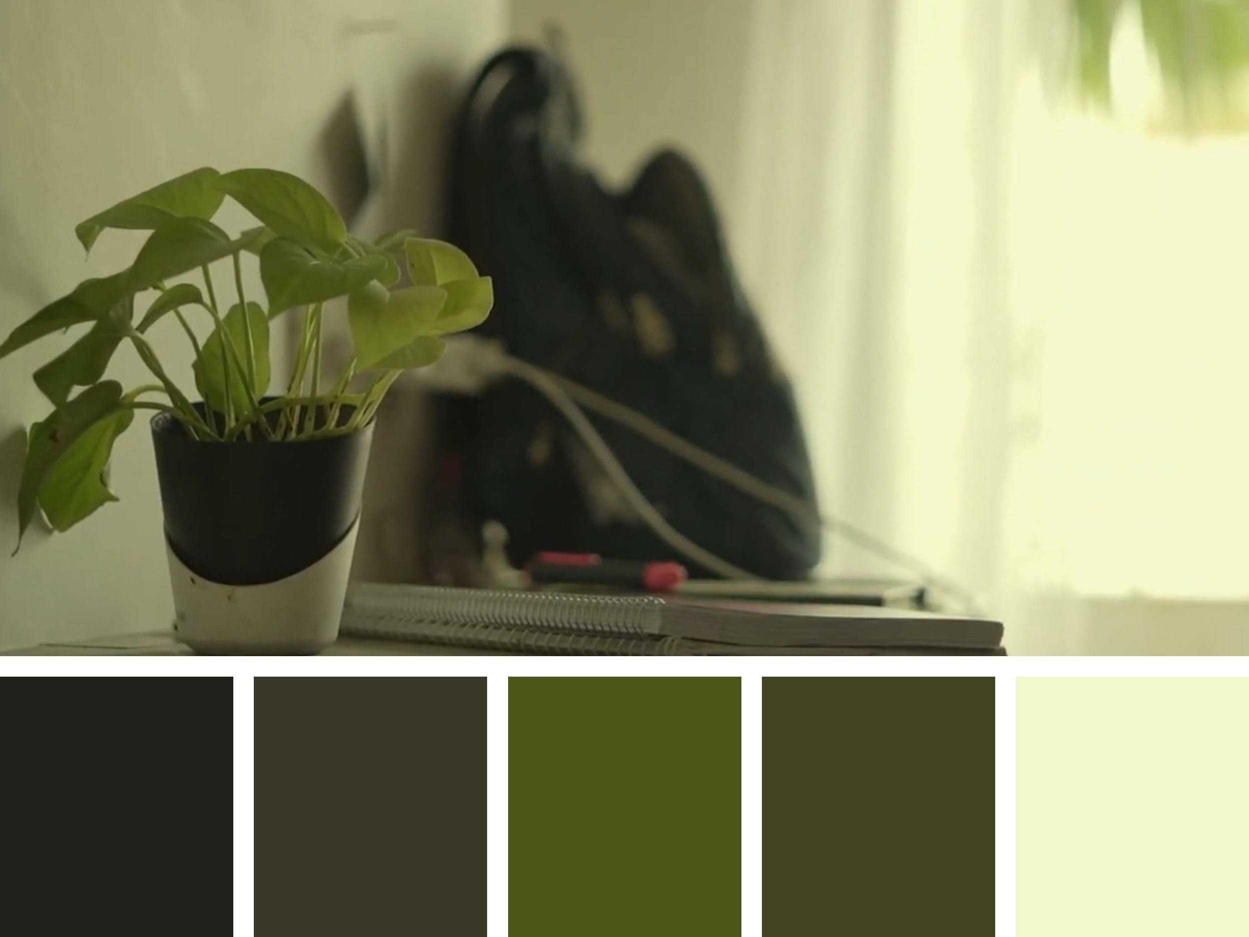 Color Palette