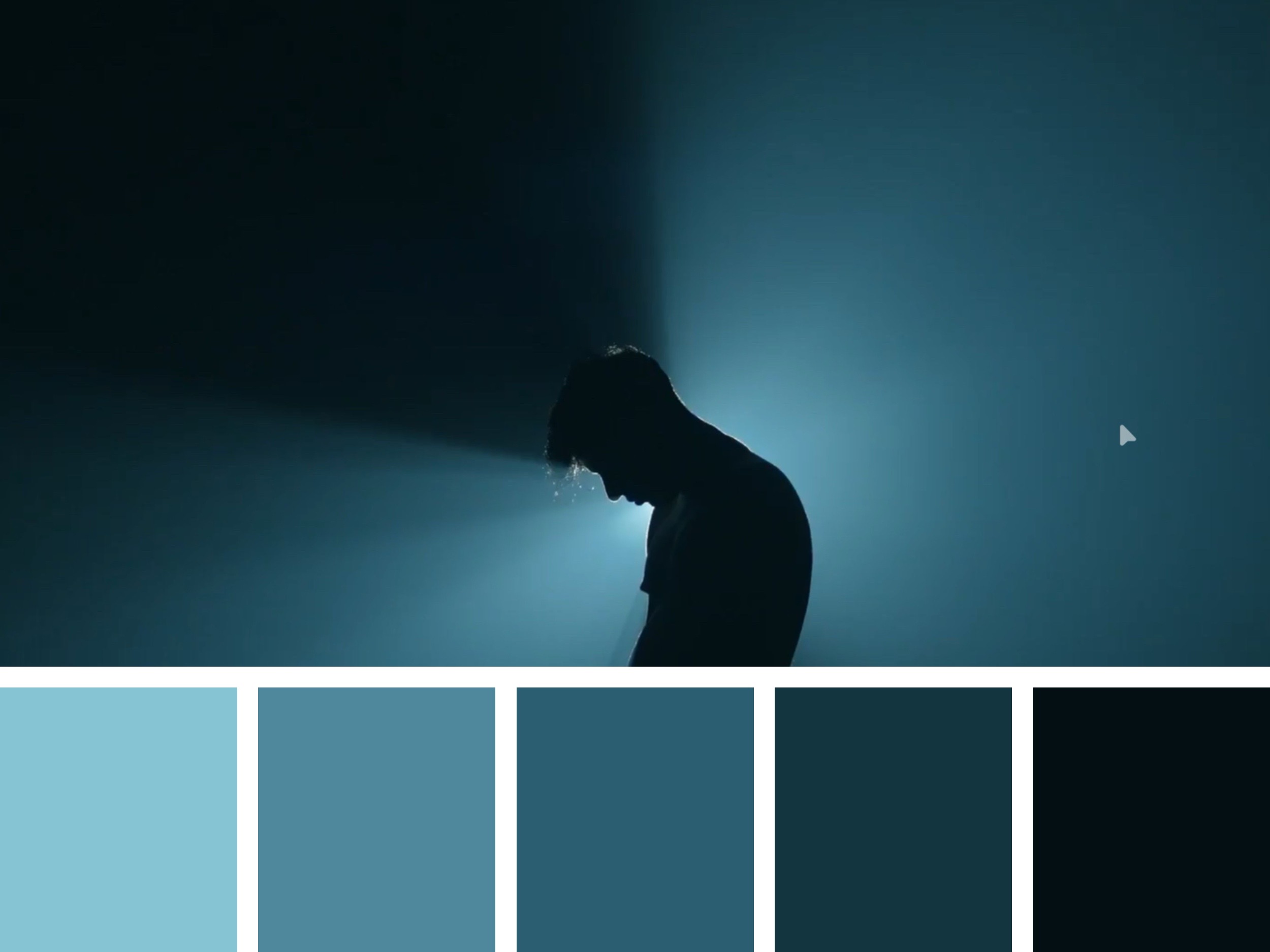 Color Palette
