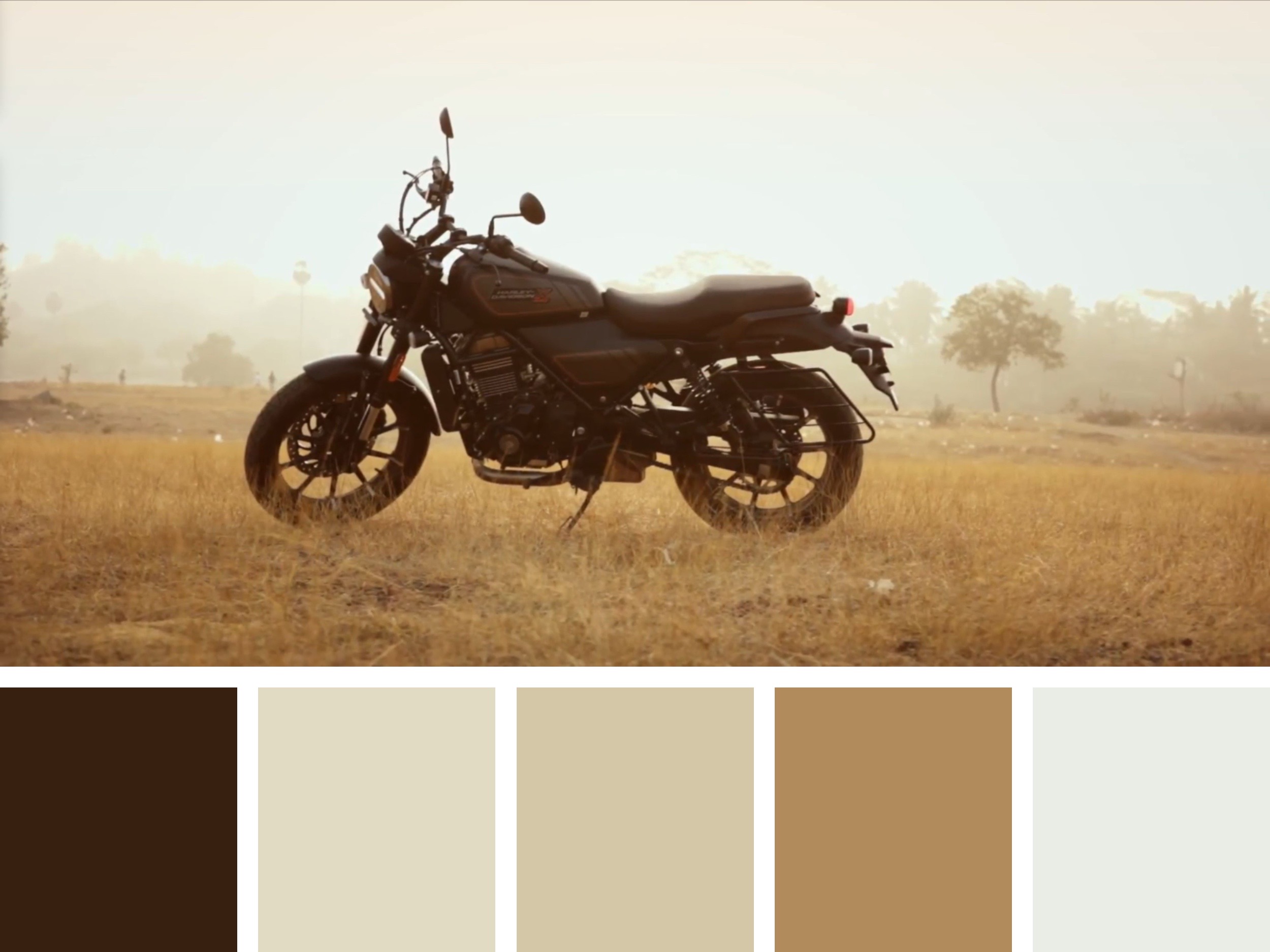 Color Palette