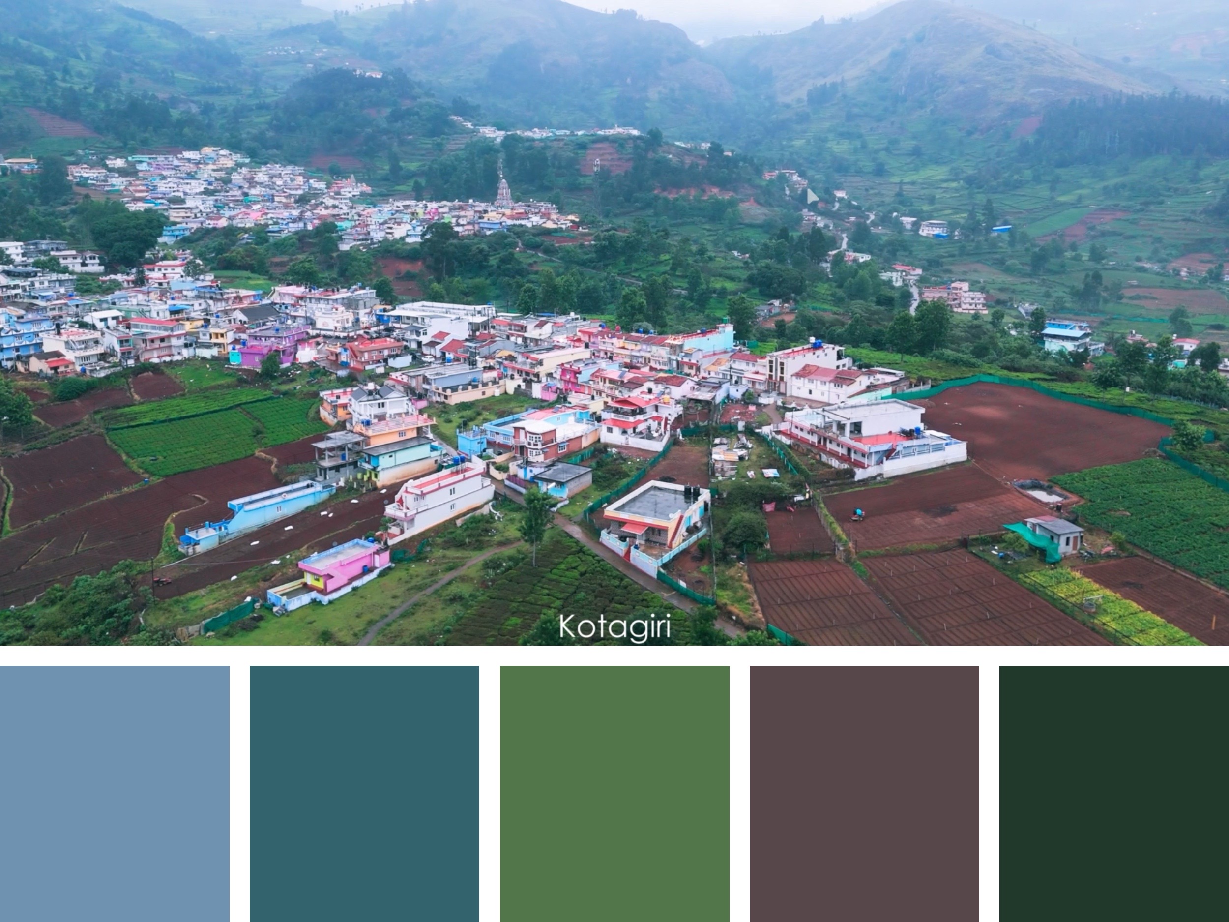 Color Palette